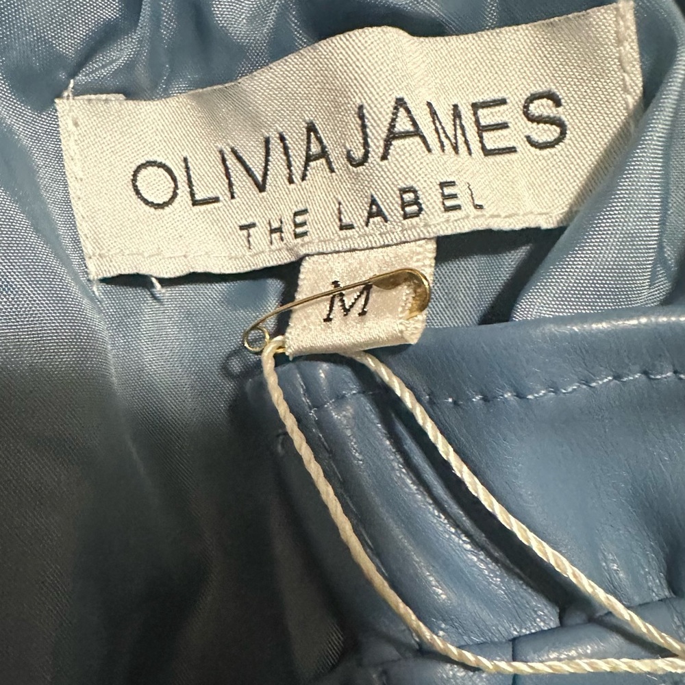 Olivia James The Label ‘Tinsley Faux Leather Dress in Topaz Leather - Size M NWT - Picture 7 of 15